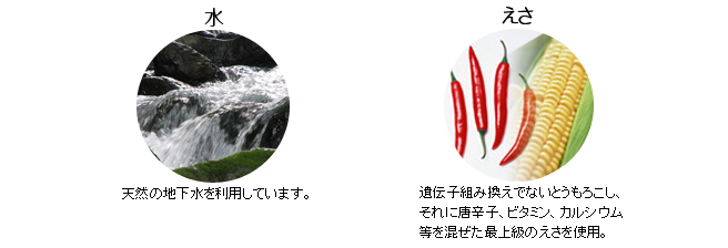 水とえさのこだわり
