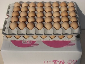 �S�ԍ����܂��@75��[a005]