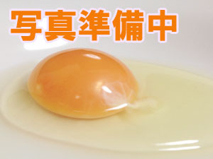 �S�ԍ����܂��@113��[a006]