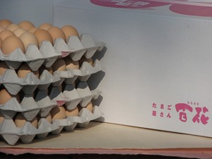  �S�ԍ����܂��@150��[a007]