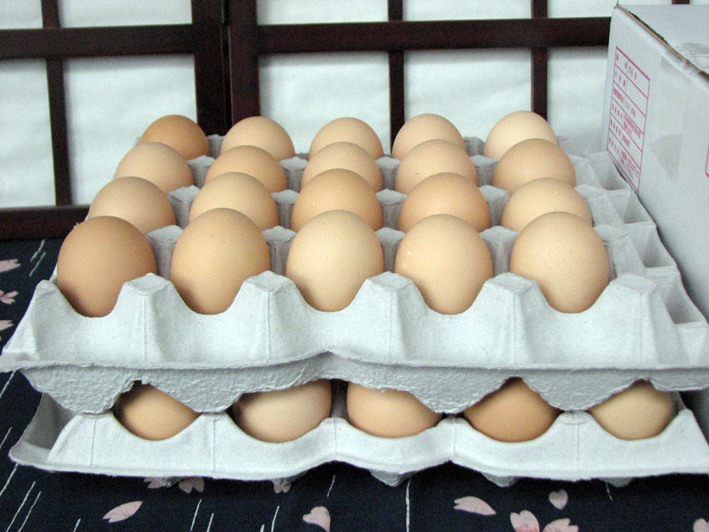 �S�ԍ����܂��@40�� [a003]