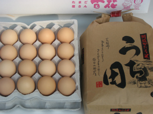 �����c����̂��ăR�V�q�J��2�L��(���h�Y)�S�ԍ����܂��Q�O�Z�b�g [b101]