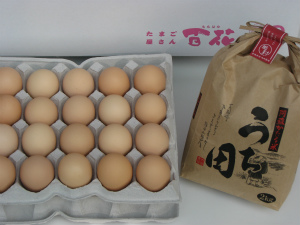 �����c����̂��ăR�V�q�J��5�L��(���h�Y)�S�ԍ����܂�4�O�R���{�Z�b�g [b102]